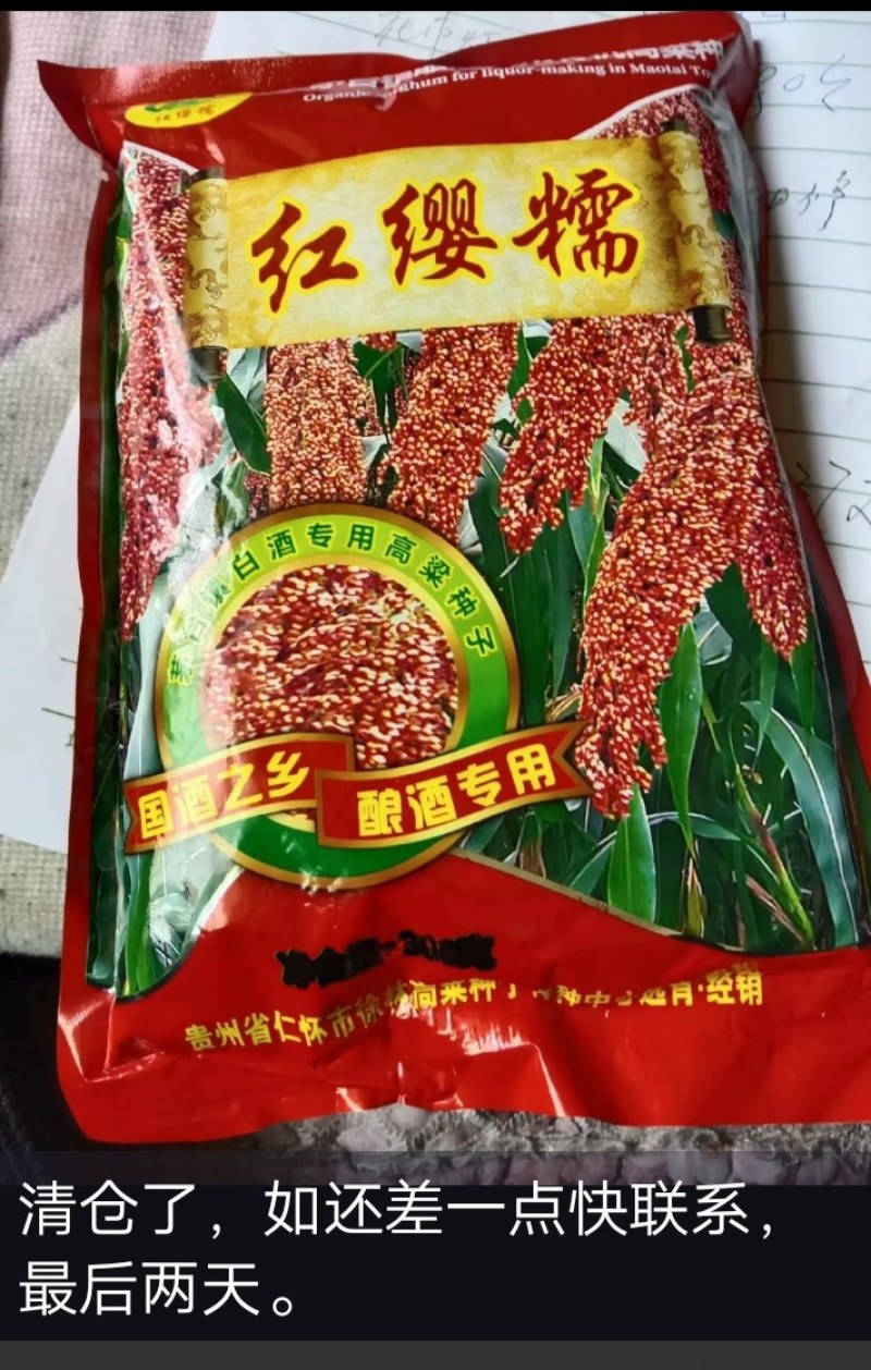 红缨子系列高梁种子，茅高八号九号，茅台红，红缨糯，等