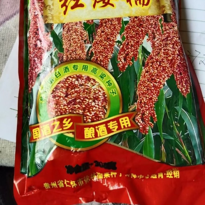 红缨子系列高梁种子，茅高八号九号，茅台红，红缨糯，等