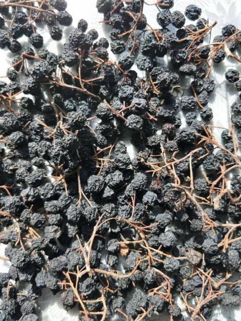 自家种植黑果花楸果实干货，质量保证