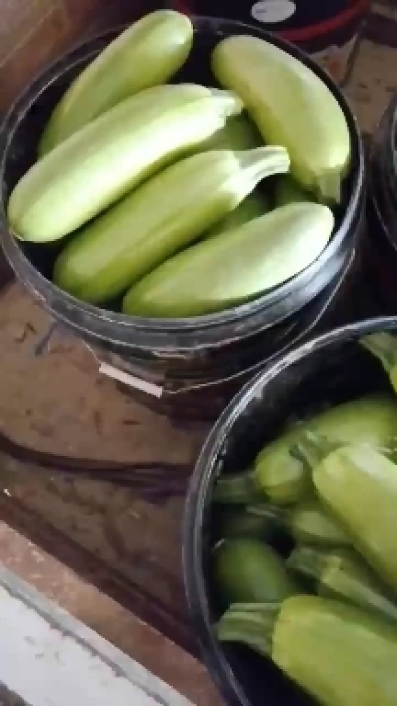 万亩西葫芦大量供应，长期有货，价格便宜，质量好，欢迎老板