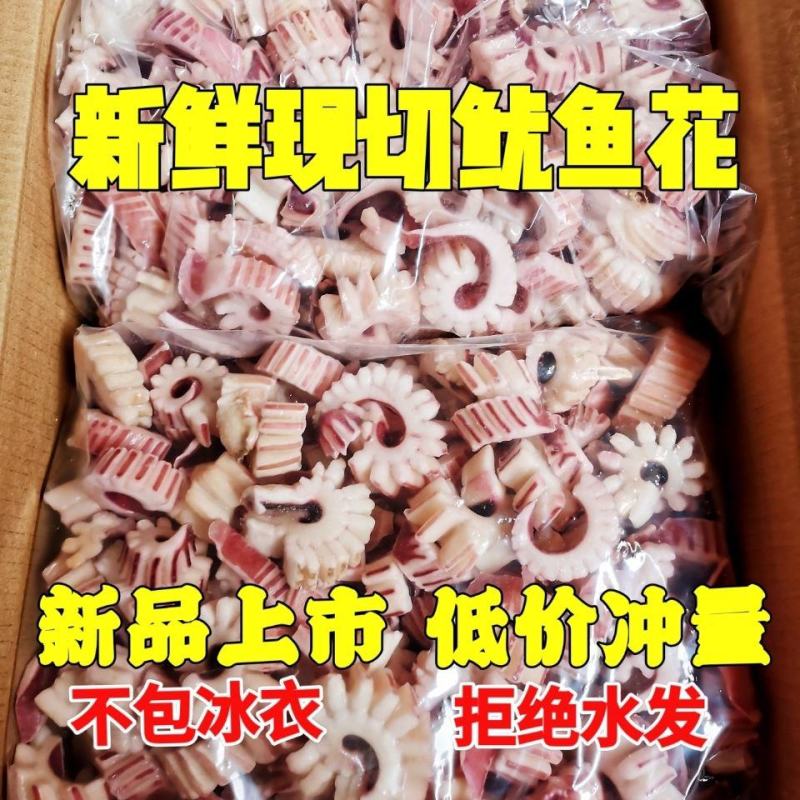 鱿鱼花鱿鱼齿轮花新鲜冷冻鱿鱼卷鱿鱼条鱿鱼火锅餐饮食材批发