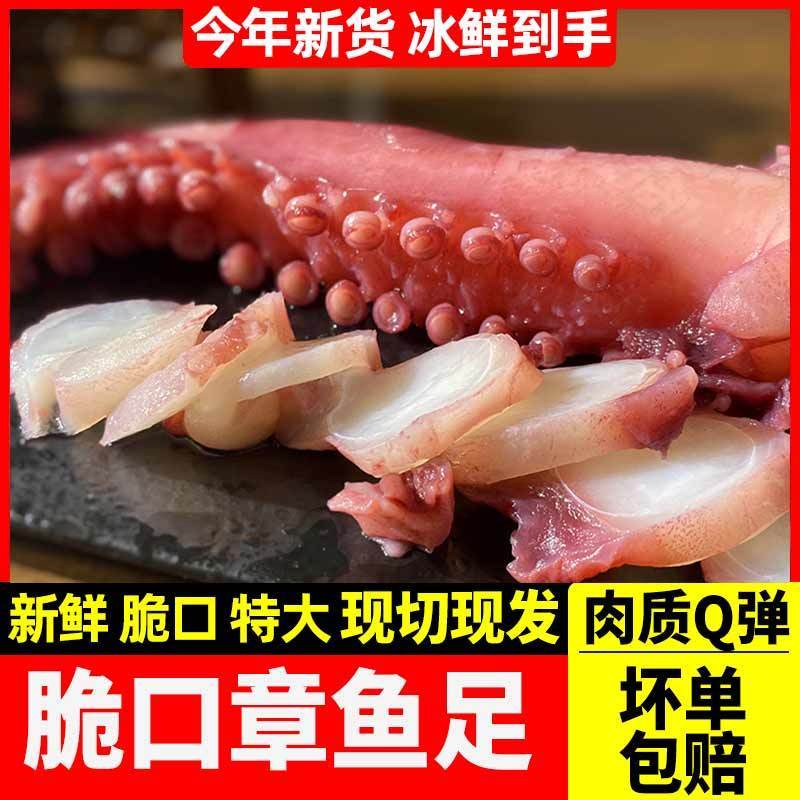 冷冻章鱼足鱼须批发冷冻大鱿鱼须新鲜速冻海鲜水产火锅食材