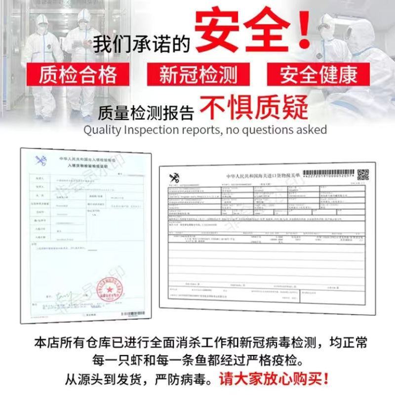 冷冻章鱼足鱼须批发冷冻大鱿鱼须新鲜速冻海鲜水产火锅食材