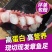 冷冻章鱼足鱼须批发冷冻大鱿鱼须新鲜速冻海鲜水产火锅食材