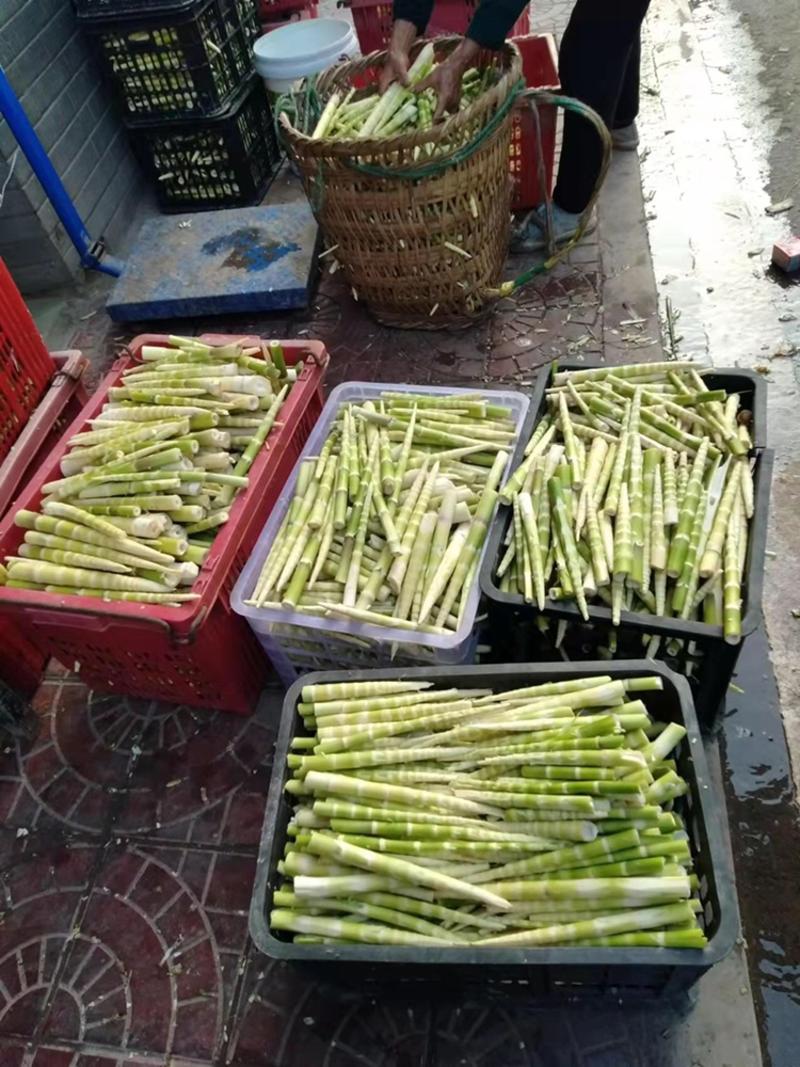 水竹笋，每天新鲜发货，规格自己定，按规定发货。
