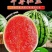 东台西瓜早春红玉3斤打底皮薄口感爽，糖份13以上