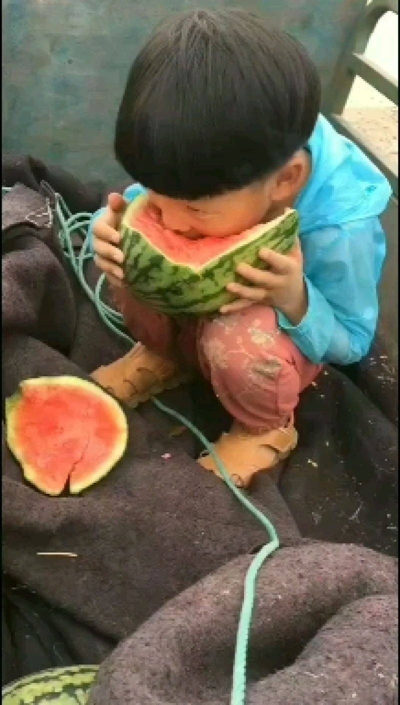 全美2K小西瓜2K小西瓜精品小西爪2K小西瓜超甜2K小瓜