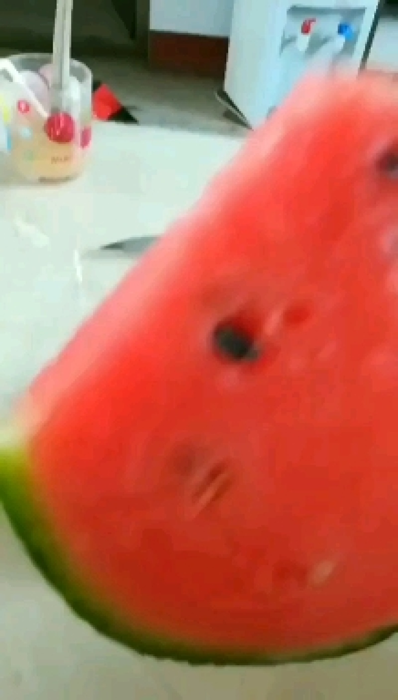 全美2K小西瓜2K小西瓜精品小西爪2K小西瓜超甜2K小瓜