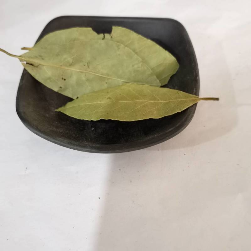 选货远志个头大颜色好看物美价廉产地采购一手货源
