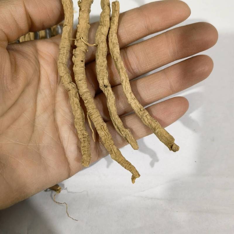 选货远志个头大颜色好看物美价廉产地采购一手货源