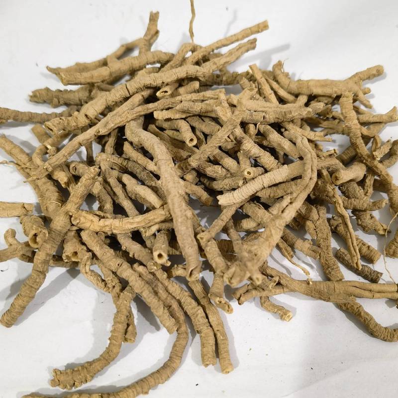 选货远志个头大颜色好看物美价廉产地采购一手货源