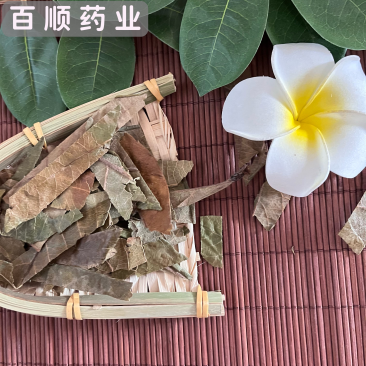 枇杷叶巴叶绿色统货产地直销大量批发诚信第一。