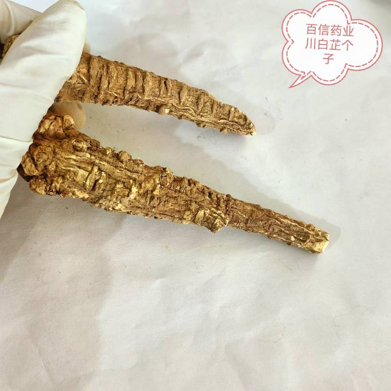 香砂大料香砂川香砂基地直采无硫净货香砂一手货源