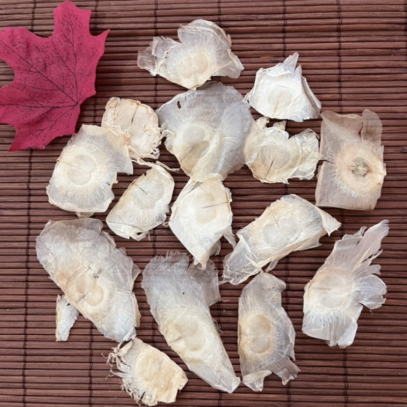 木蝴蝶千张纸无硫新货好统货质量保证经营各种中药材
