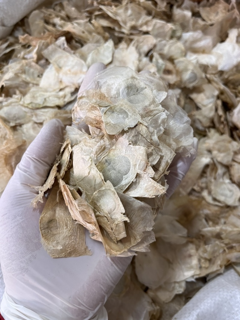 木蝴蝶千张纸无硫新货好统货质量保证经营各种中药材