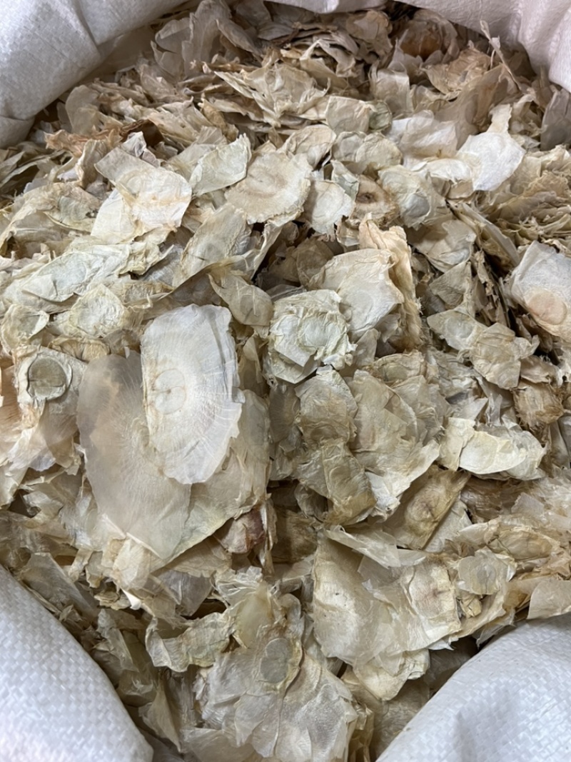 木蝴蝶千张纸无硫新货好统货质量保证经营各种中药材