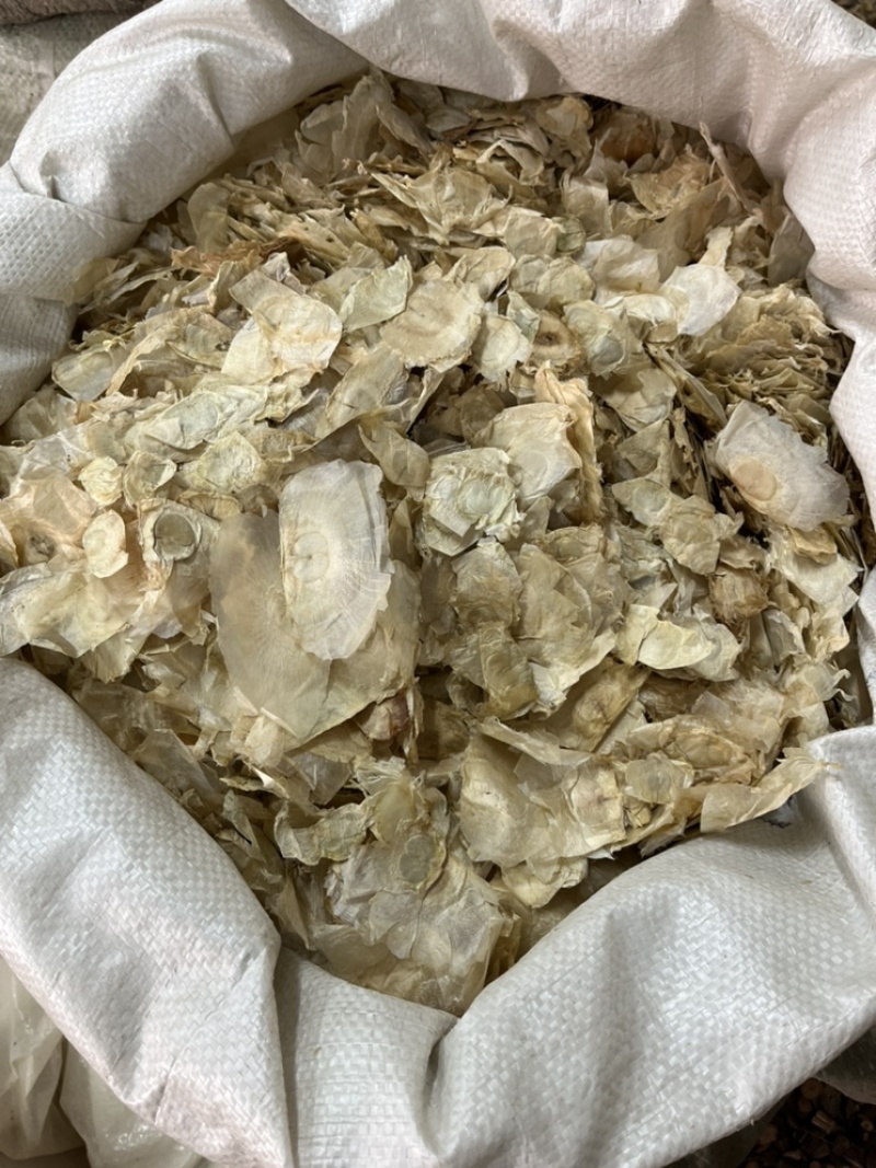 木蝴蝶千张纸无硫新货好统货质量保证经营各种中药材