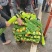 河南开封新鲜精品蒜苔大量上市，红帽，60以上，商超，市场