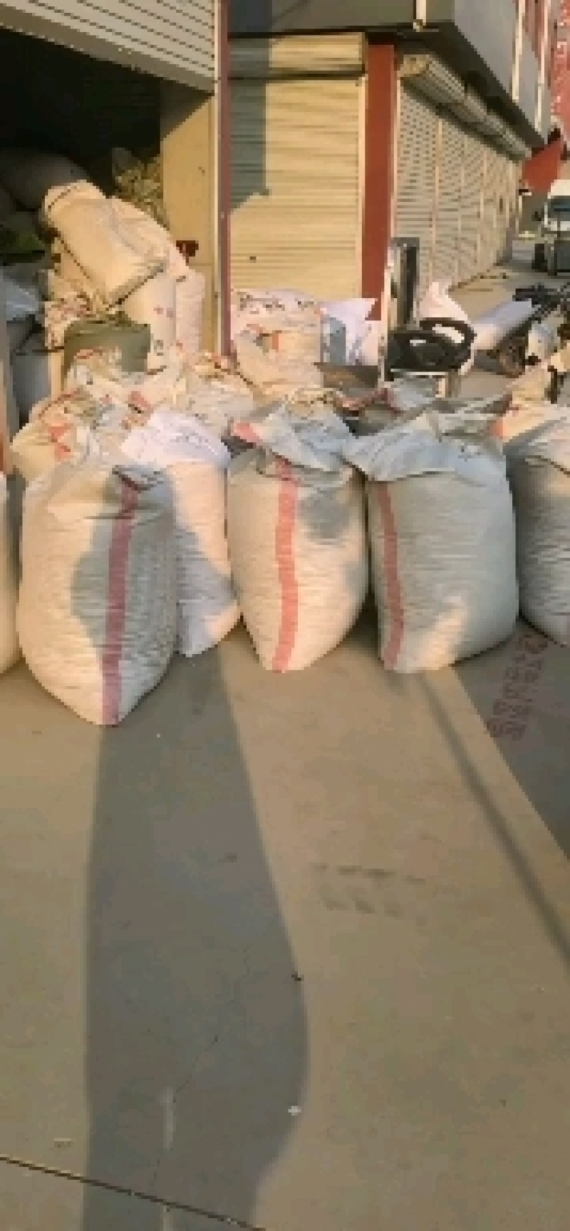 姜黄实图拍摄重在品质物美价廉货真价实当天发货