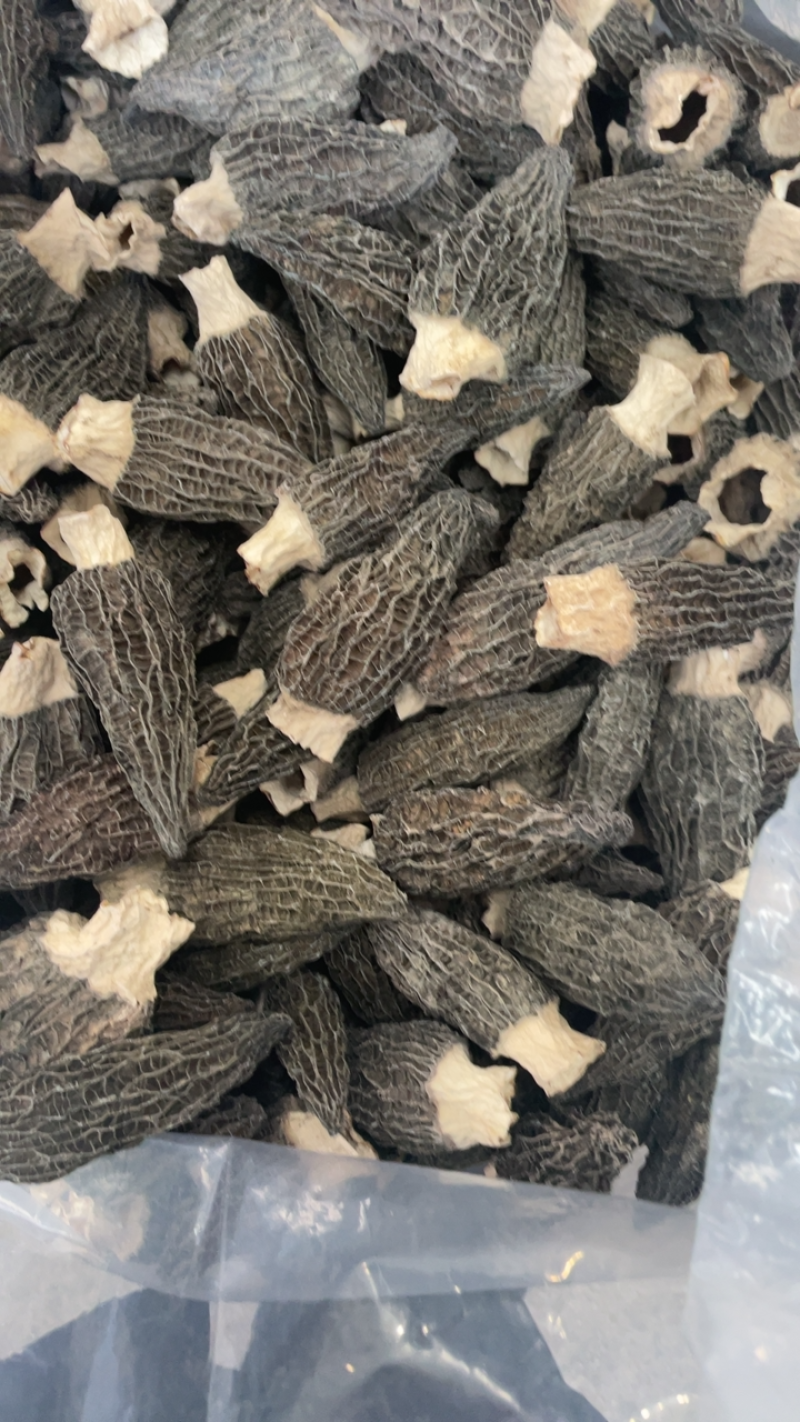 云南高原羊肚菌、规格8-10、头茬、肉厚、大黑个