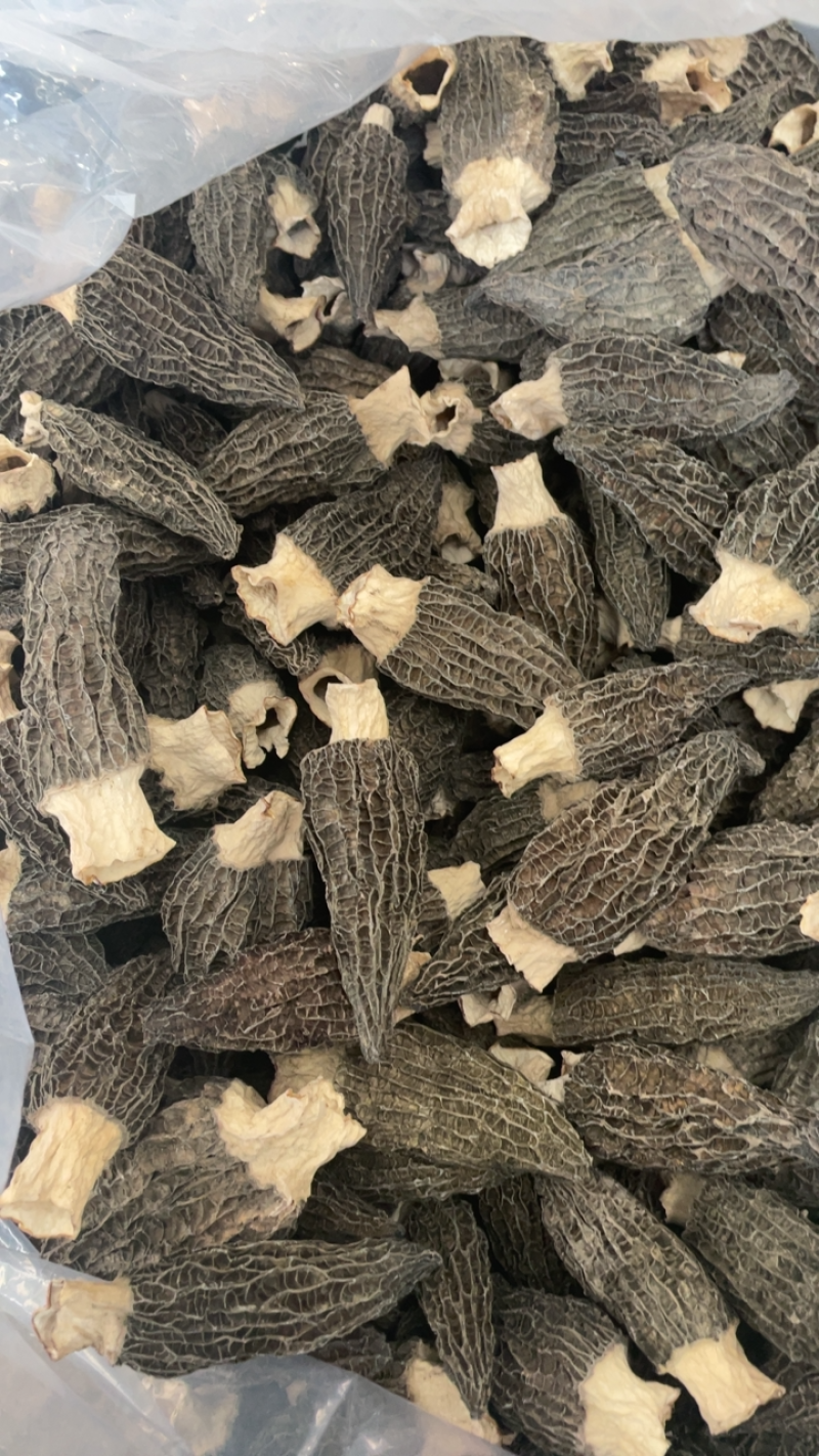 云南高原羊肚菌、规格8-10、头茬、肉厚、大黑个