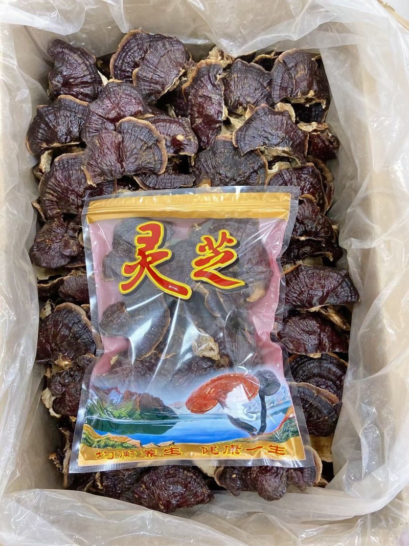 长白山香灵芝东北纯正源头批发直销一件代发包邮