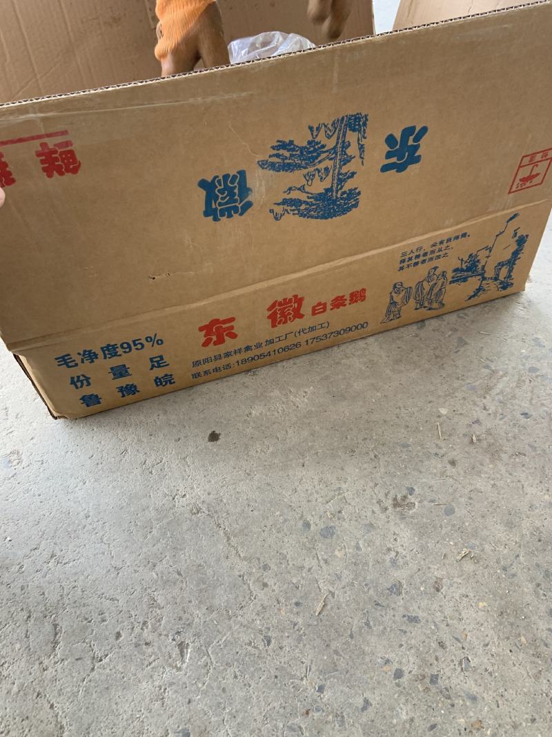 仔鹅@山东东徽鹅业，专业白条鹅供应商，一件可发