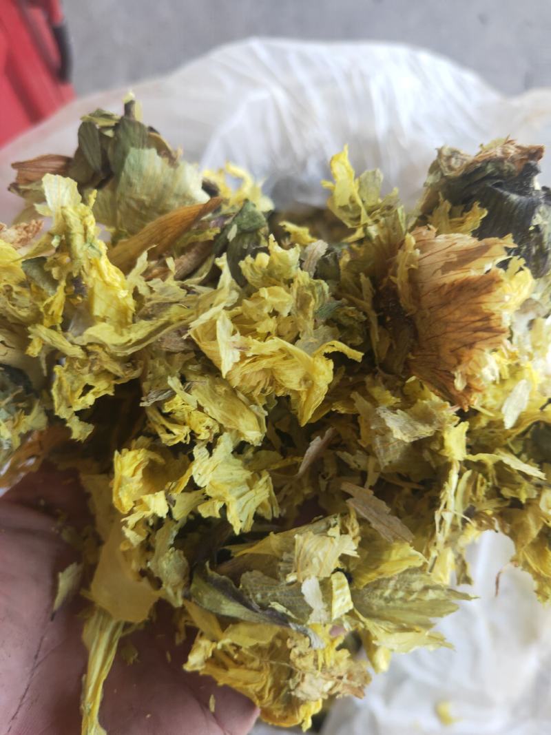 黄秋葵花
