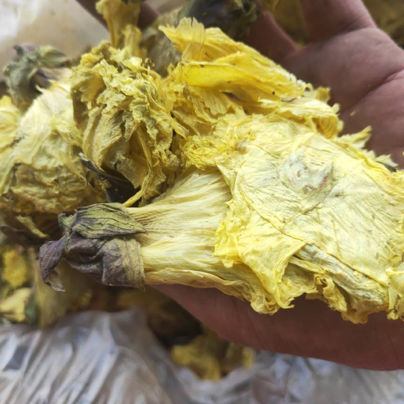 黄秋葵花
