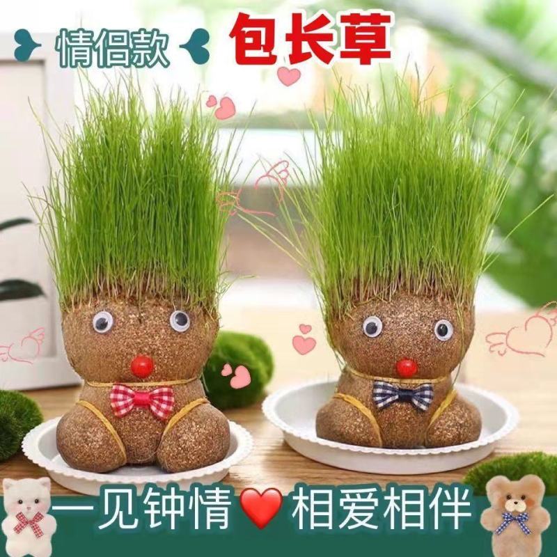 创意长草头娃娃迷你小植物盆栽室内阳台抖音同款可爱桌面摆件