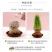 创意长草头娃娃迷你小植物盆栽室内阳台抖音同款可爱桌面摆件