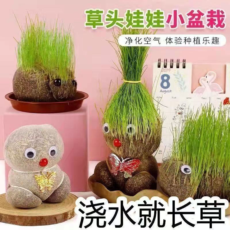 创意长草头娃娃迷你小植物盆栽室内阳台抖音同款可爱桌面摆件