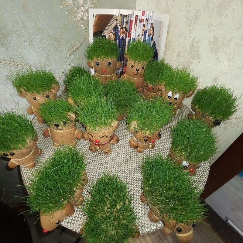 创意长草头娃娃迷你小植物盆栽室内阳台抖音同款可爱桌面摆件