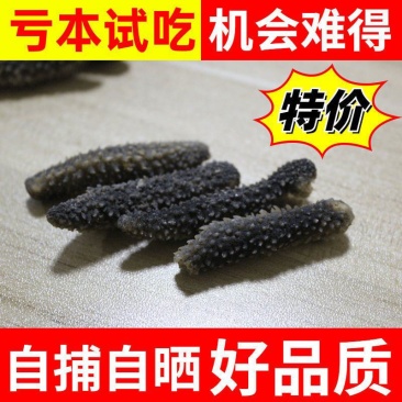淡干海参小黑刺参辽参滋补营养美味干货1袋50只包邮
