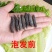 淡干海参小黑刺参辽参滋补营养美味干货1袋50只包邮