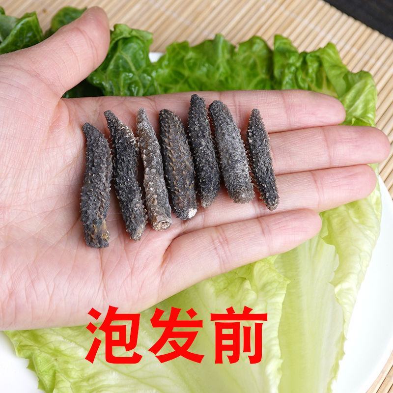 淡干海参小黑刺参辽参滋补营养美味干货1袋50只包邮