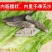 淡干海参小黑刺参辽参滋补营养美味干货1袋50只包邮