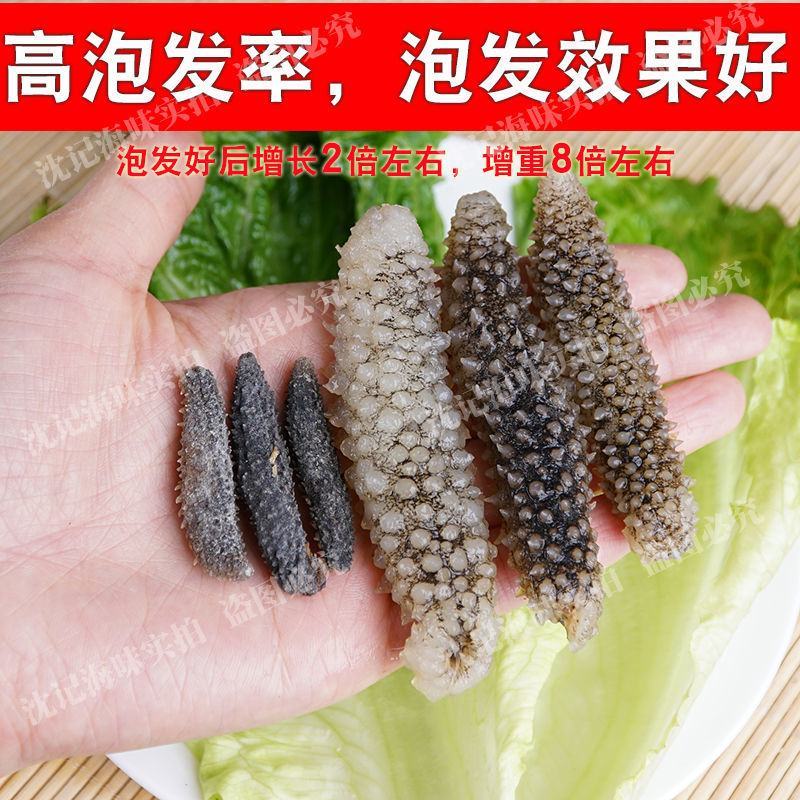 淡干海参小黑刺参辽参滋补营养美味干货1袋50只包邮