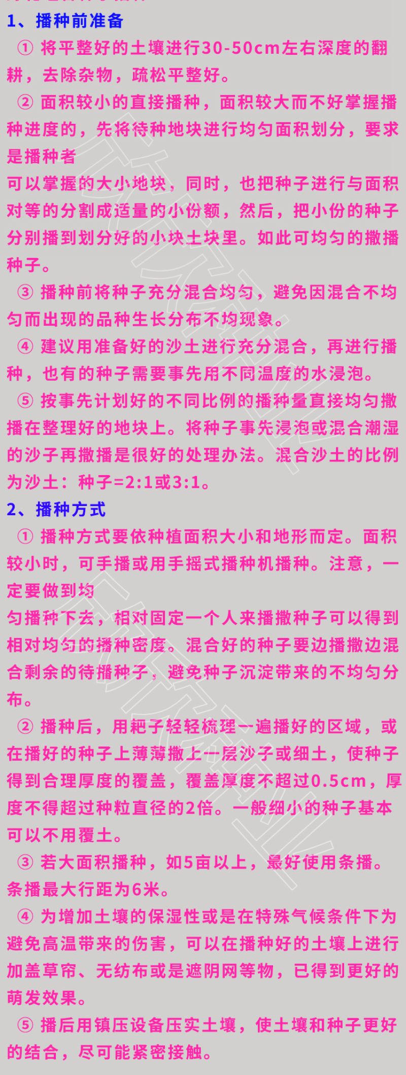 多年生野花组合种子花海庭院绿化四季开花耐寒耐旱新手易种