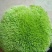 自采苔藓，白发，大灰，短绒，星星