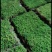 自采苔藓，白发，大灰，短绒，星星