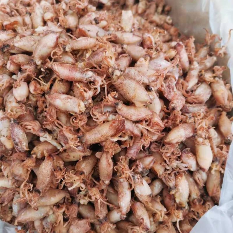 海兔干500g乌贼干笔管鱼干籽乌干批发包邮