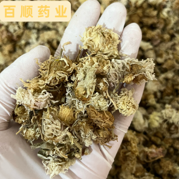 药用菊花批发各种中药材无硫***价格优惠