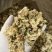 药用菊花批发各种中药材无硫***价格优惠