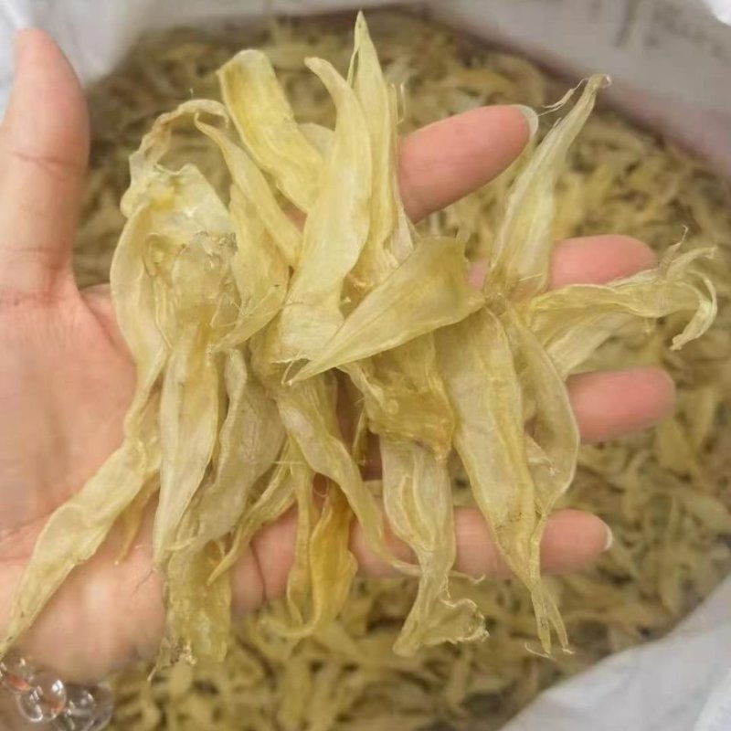 厂家销花胶实惠豆仁公鱼胶胶身小豆仁胶批发