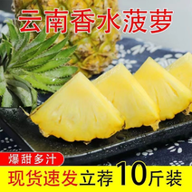 云南新鲜香水菠萝10斤一件供货稳定欢迎