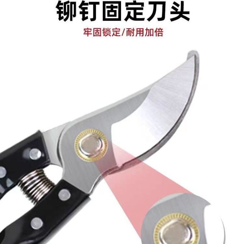 德国进口钢粗枝剪滑轮省力修枝剪刀园艺修花木果树嫁接园林剪