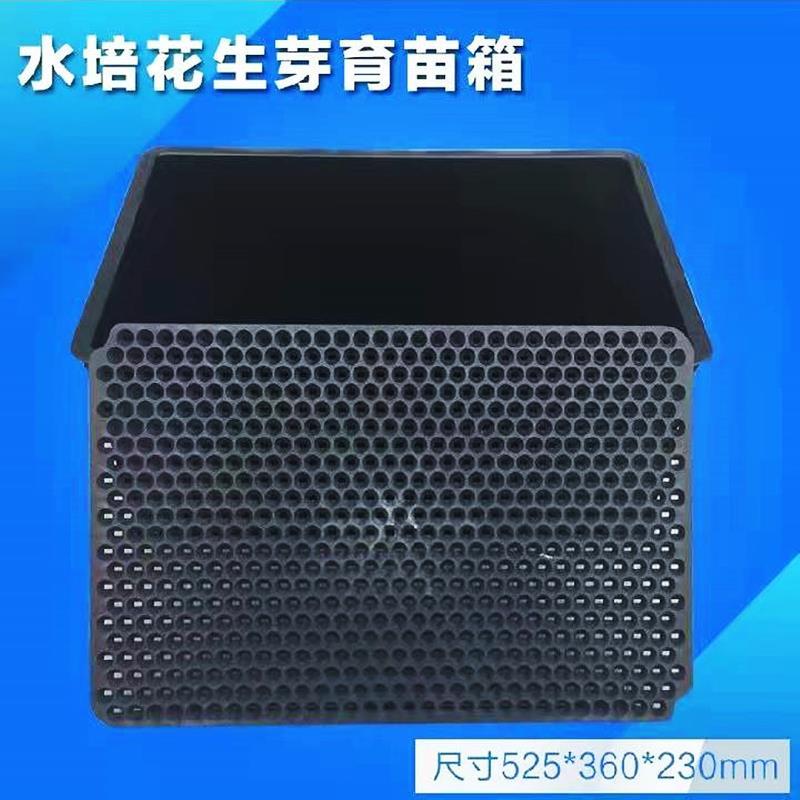 商用花生芽筐加厚花生芽种植育苗筐育苗盘大号芽苗菜筐种植筐