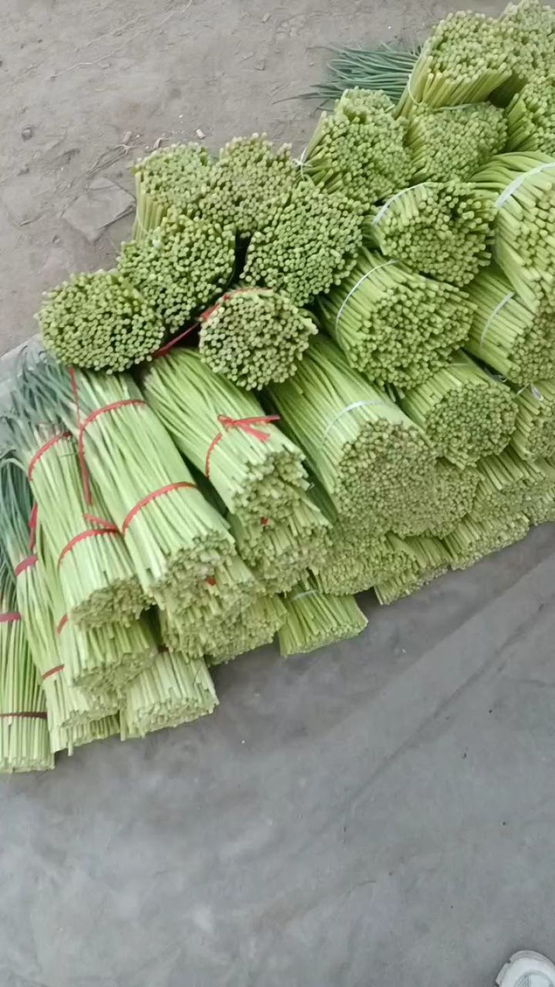 淮阳红帽蒜苔，干苔，大量供应，对接电商，商超，库存，全网