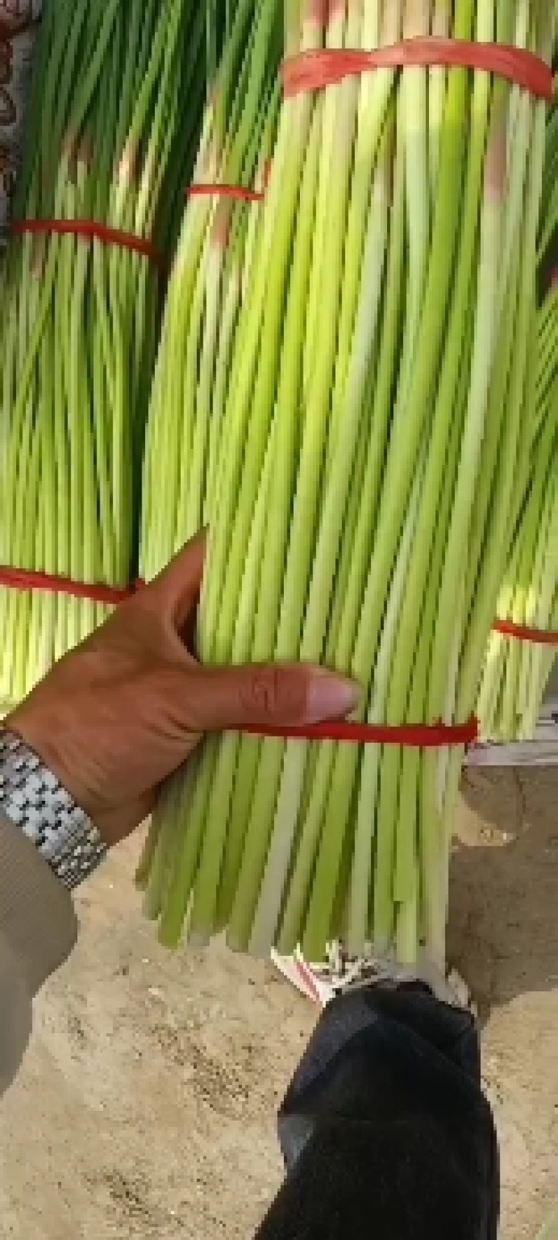 淮阳红帽蒜苔，干苔，大量供应，对接电商，商超，库存，全网
